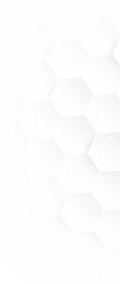 portfolio-shape